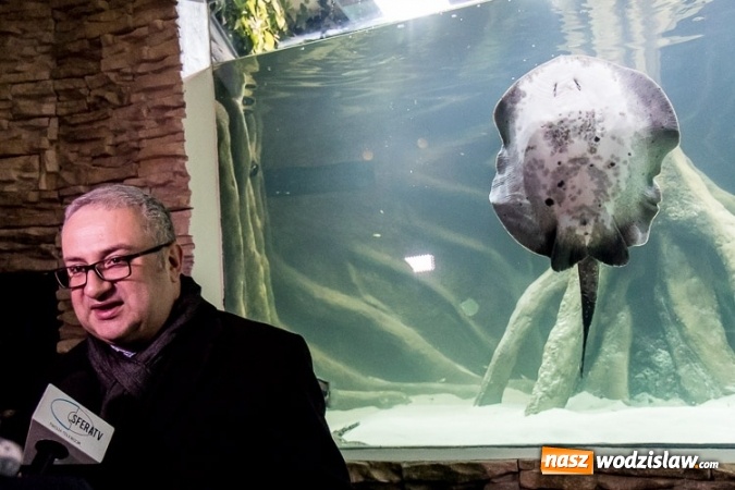 Zdjęcie w galerii na portalu naszwodzislaw.com: Dwa nowe zbiorniki w Akwarium w Śląskim Ogrodzie Zoologicznym zostały oddane dla zwiedzających wiadomości z regionu