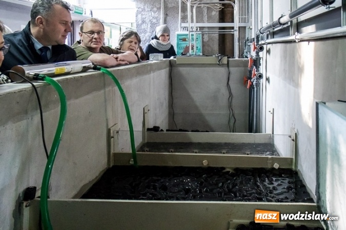 Zdjęcie w galerii na portalu naszwodzislaw.com: Dwa nowe zbiorniki w Akwarium w Śląskim Ogrodzie Zoologicznym zostały oddane dla zwiedzających wiadomości z regionu