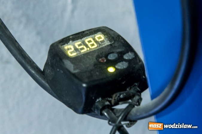 Zdjęcie w galerii na portalu naszwodzislaw.com: Dwa nowe zbiorniki w Akwarium w Śląskim Ogrodzie Zoologicznym zostały oddane dla zwiedzających wiadomości z regionu