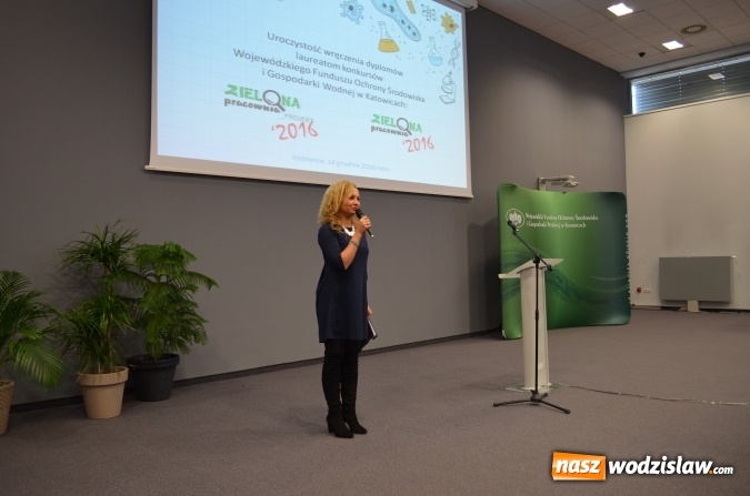 Zdjęcie w galerii na portalu naszwodzislaw.com: Zielone Pracownie'2016 wiadomości z regionu