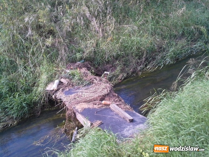 Zdjęcie w galerii na portalu naszwodzislaw.com: Rzeka Leśnica po konserwacji  wiadomości z regionu