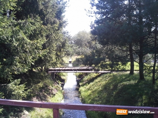 Zdjęcie w galerii na portalu naszwodzislaw.com: Rzeka Leśnica po konserwacji  wiadomości z regionu