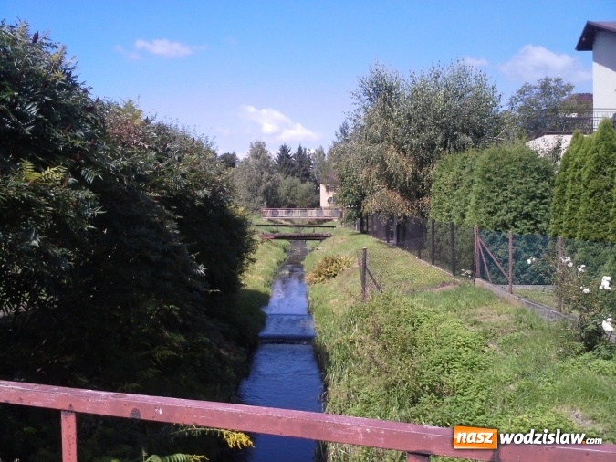 Zdjęcie w galerii na portalu naszwodzislaw.com: Rzeka Leśnica po konserwacji  wiadomości z regionu