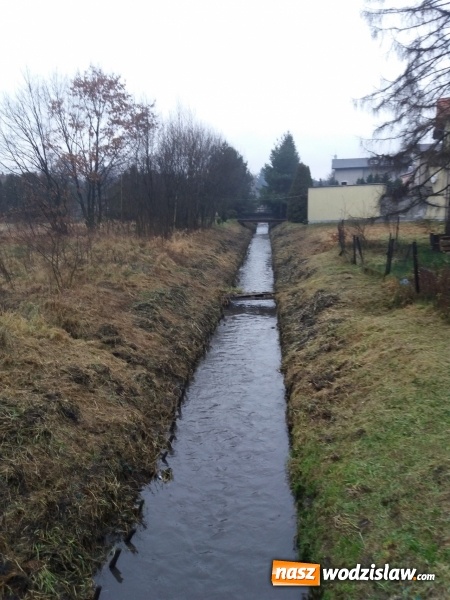 Zdjęcie w galerii na portalu naszwodzislaw.com: Rzeka Leśnica po konserwacji  wiadomości z regionu