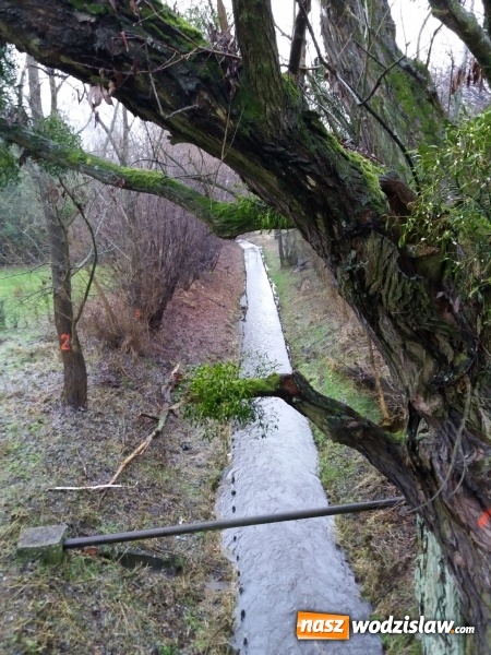 Zdjęcie w galerii na portalu naszwodzislaw.com: Rzeka Leśnica po konserwacji  wiadomości z regionu