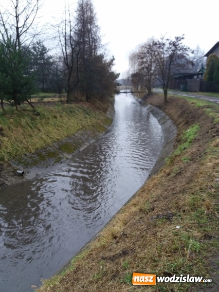 Zdjęcie w galerii na portalu naszwodzislaw.com: Rzeka Leśnica po konserwacji  wiadomości z regionu