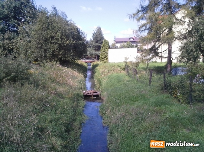 Zdjęcie w galerii na portalu naszwodzislaw.com: Rzeka Leśnica po konserwacji  wiadomości z regionu