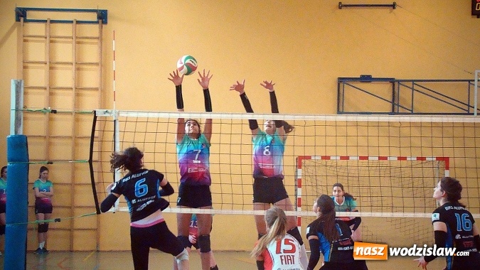Zdjęcie w galerii na portalu naszwodzislaw.com: Puchar Prezydenta Miasta dla siatkarek z Bielska-Białej  wiadomości z regionu