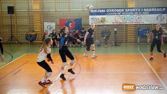 Zdjęcie w galerii na portalu naszwodzislaw.com: Puchar Prezydenta Miasta dla siatkarek z Bielska-Białej  wiadomości z regionu