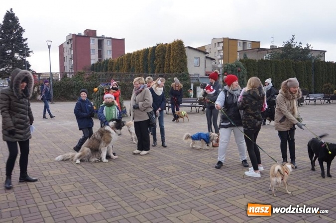 Zdjęcie w galerii na portalu naszwodzislaw.com: DDTVN w Radlinie. O Sylwestrze w Radlinie dowiedziała się cała Polska! wiadomości z regionu