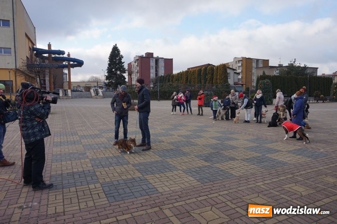 Zdjęcie w galerii na portalu naszwodzislaw.com: DDTVN w Radlinie. O Sylwestrze w Radlinie dowiedziała się cała Polska! wiadomości z regionu