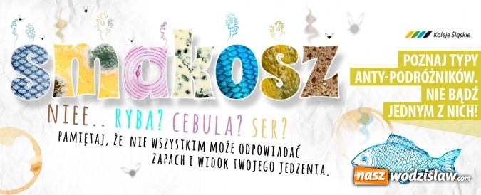 Zdjęcie w galerii na portalu naszwodzislaw.com: Degustator, Poeta i Rozrzutny nowymi Antypodróżnikami wiadomości z regionu