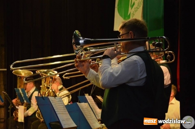 Zdjęcie w galerii na portalu naszwodzislaw.com: Koncert Noworoczny w Radlinie przyciągnął tłumy mieszkańców  wiadomości z regionu