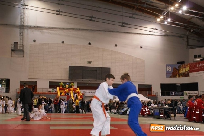 Zdjęcie w galerii na portalu naszwodzislaw.com: Młodzi judocy z Wodzisławia Śląskiego z sukcesami w Bielsku-Białej wiadomości z regionu