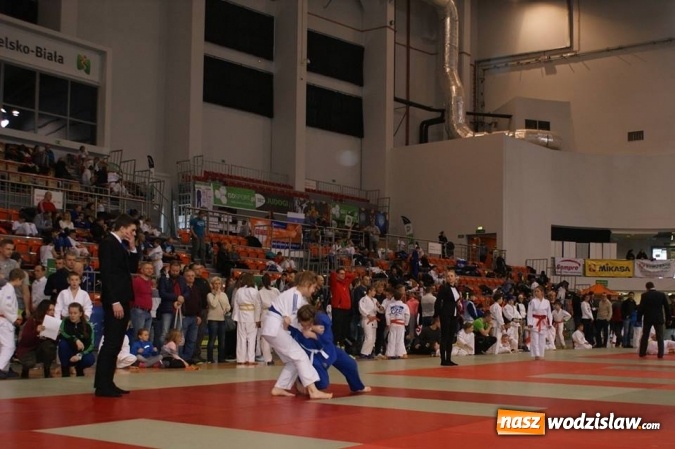 Zdjęcie w galerii na portalu naszwodzislaw.com: Młodzi judocy z Wodzisławia Śląskiego z sukcesami w Bielsku-Białej wiadomości z regionu