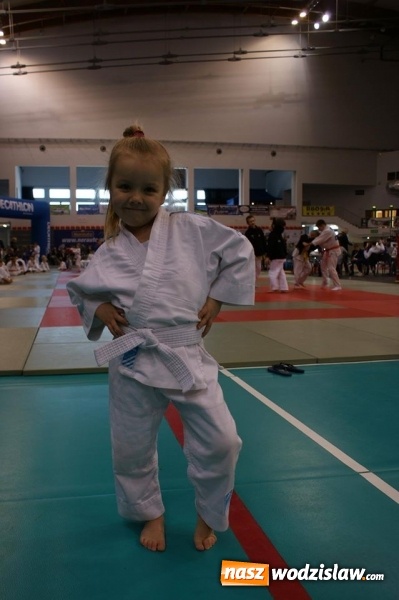 Zdjęcie w galerii na portalu naszwodzislaw.com: Młodzi judocy z Wodzisławia Śląskiego z sukcesami w Bielsku-Białej wiadomości z regionu