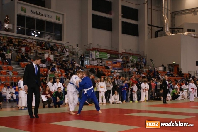 Zdjęcie w galerii na portalu naszwodzislaw.com: Młodzi judocy z Wodzisławia Śląskiego z sukcesami w Bielsku-Białej wiadomości z regionu