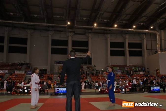 Zdjęcie w galerii na portalu naszwodzislaw.com: Młodzi judocy z Wodzisławia Śląskiego z sukcesami w Bielsku-Białej wiadomości z regionu