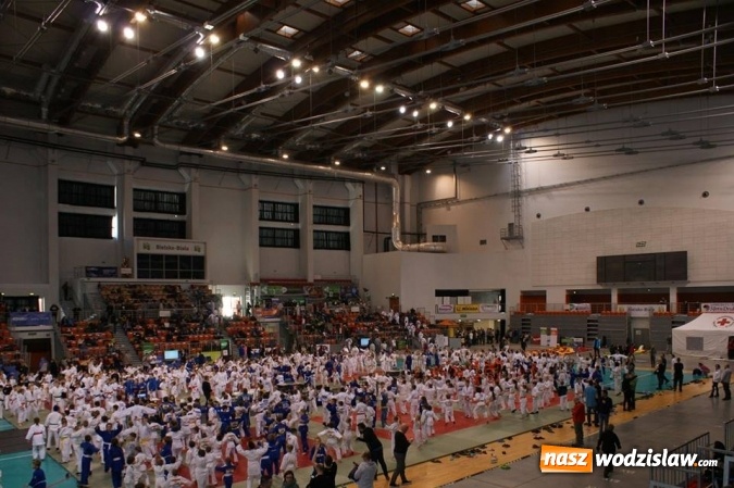 Zdjęcie w galerii na portalu naszwodzislaw.com: Młodzi judocy z Wodzisławia Śląskiego z sukcesami w Bielsku-Białej wiadomości z regionu