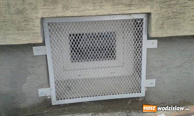 Zdjęcie w galerii na portalu naszwodzislaw.com: Towarzystwo Opieki nad Zwierzętami o Sp&oacute;łdzielni 