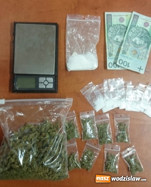 Zdjęcie w galerii na portalu naszwodzislaw.com: Wodzisławscy kryminalni przejęli kolejne narkotyki wiadomości z regionu