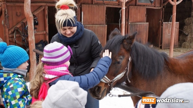 Zdjęcie w galerii na portalu naszwodzislaw.com: Ferie w gminie Mszana. Sporo się działo wiadomości z regionu