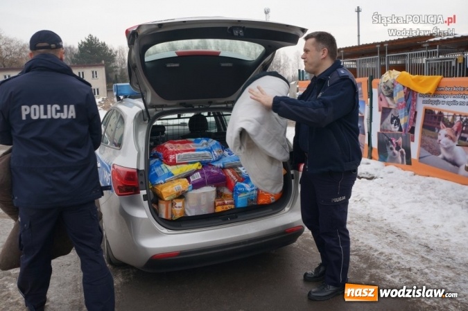 Zdjęcie w galerii na portalu naszwodzislaw.com: Wodzisławscy policjanci zebrali 160 kilogramów karmy wiadomości z regionu