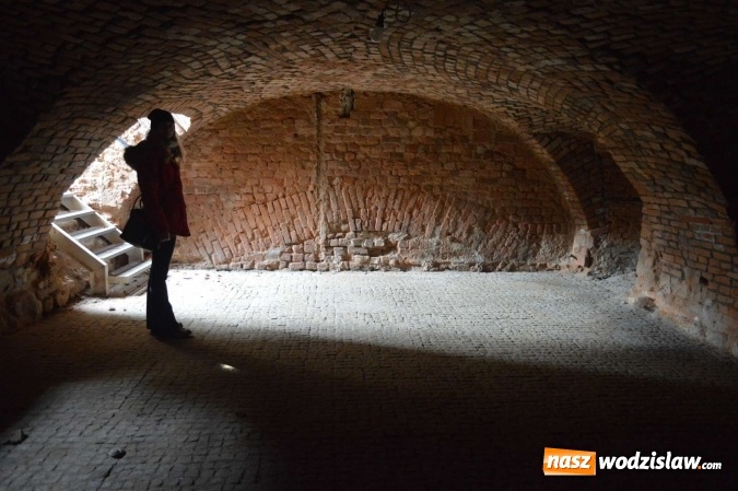 Zdjęcie w galerii na portalu naszwodzislaw.com: Blogerzy podróżują pociągami Kolei Śląskich  wiadomości z regionu