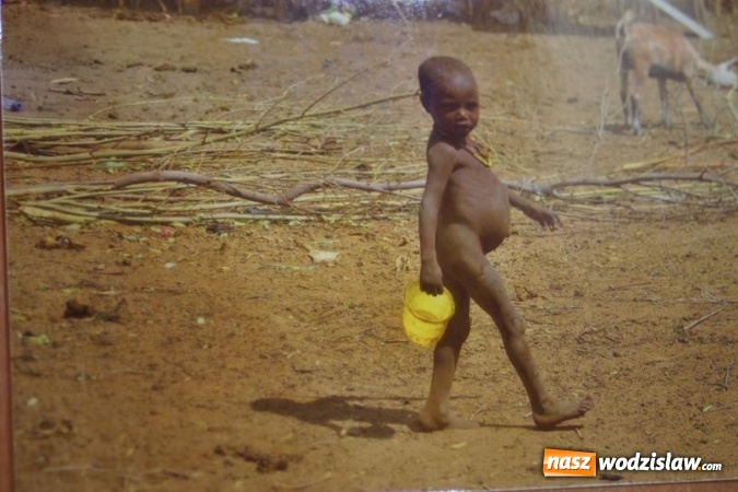 Zdjęcie w galerii na portalu naszwodzislaw.com: IV edycja og&oacute;lnopolskiej akcji 