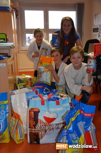 Zdjęcie w galerii na portalu naszwodzislaw.com: Młodzi judocy z Wodzisławia zebrali ponad 100 kilogramów karmy wiadomości z regionu