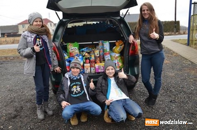 Zdjęcie w galerii na portalu naszwodzislaw.com: Młodzi judocy z Wodzisławia zebrali ponad 100 kilogramów karmy wiadomości z regionu