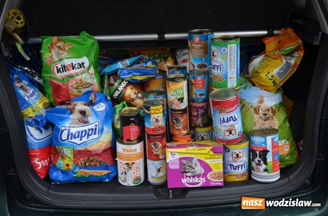 Zdjęcie w galerii na portalu naszwodzislaw.com: Młodzi judocy z Wodzisławia zebrali ponad 100 kilogramów karmy wiadomości z regionu