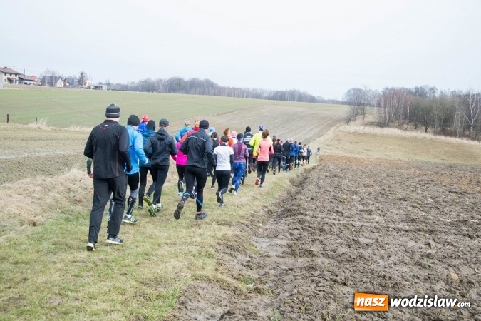 Zdjęcie w galerii na portalu naszwodzislaw.com: 12. Bieg Twardziela w Wodzisławiu Śląskim wiadomości z regionu