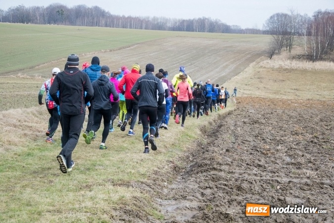 Zdjęcie w galerii na portalu naszwodzislaw.com: 12. Bieg Twardziela w Wodzisławiu Śląskim wiadomości z regionu