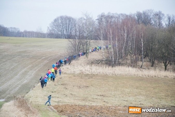 Zdjęcie w galerii na portalu naszwodzislaw.com: 12. Bieg Twardziela w Wodzisławiu Śląskim wiadomości z regionu