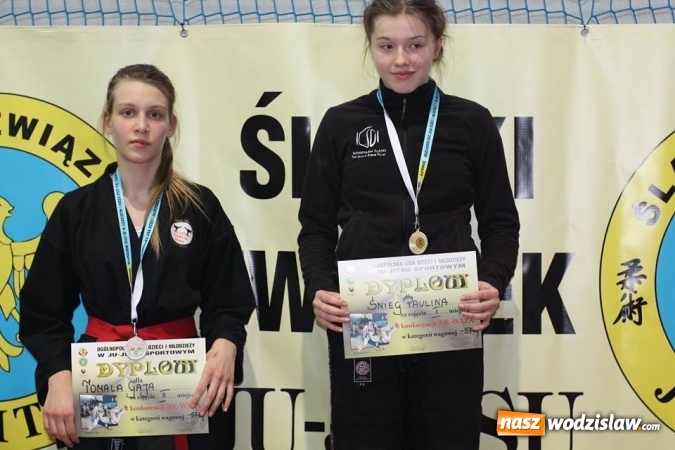 Zdjęcie w galerii na portalu naszwodzislaw.com: 7 medali dla Octagon Team Wodzisław  wiadomości z regionu