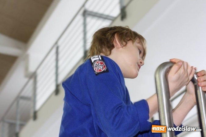 Zdjęcie w galerii na portalu naszwodzislaw.com: 7 medali dla Octagon Team Wodzisław  wiadomości z regionu