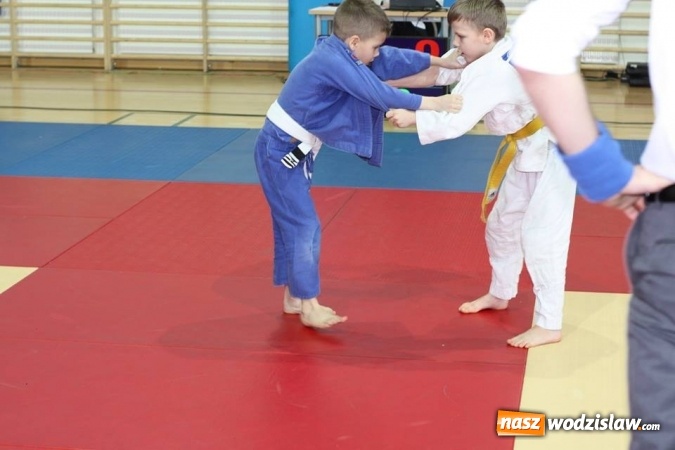 Zdjęcie w galerii na portalu naszwodzislaw.com: 7 medali dla Octagon Team Wodzisław  wiadomości z regionu