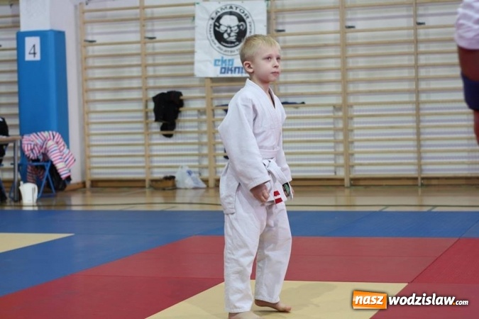 Zdjęcie w galerii na portalu naszwodzislaw.com: 7 medali dla Octagon Team Wodzisław  wiadomości z regionu