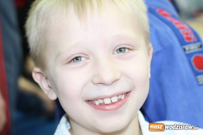 Zdjęcie w galerii na portalu naszwodzislaw.com: 7 medali dla Octagon Team Wodzisław  wiadomości z regionu