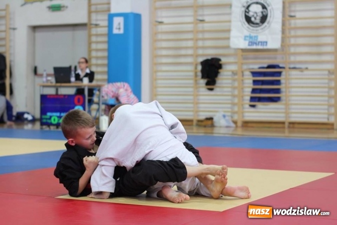 Zdjęcie w galerii na portalu naszwodzislaw.com: 7 medali dla Octagon Team Wodzisław  wiadomości z regionu