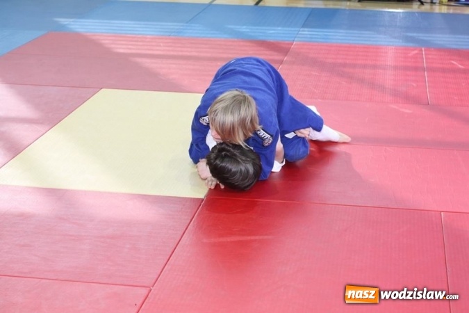 Zdjęcie w galerii na portalu naszwodzislaw.com: 7 medali dla Octagon Team Wodzisław  wiadomości z regionu