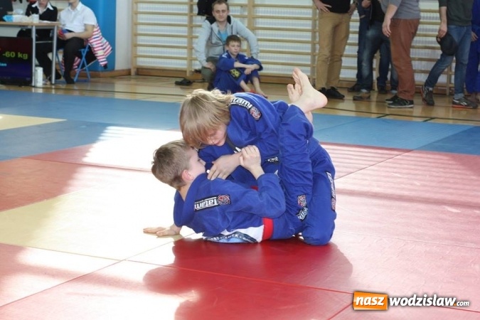 Zdjęcie w galerii na portalu naszwodzislaw.com: 7 medali dla Octagon Team Wodzisław  wiadomości z regionu