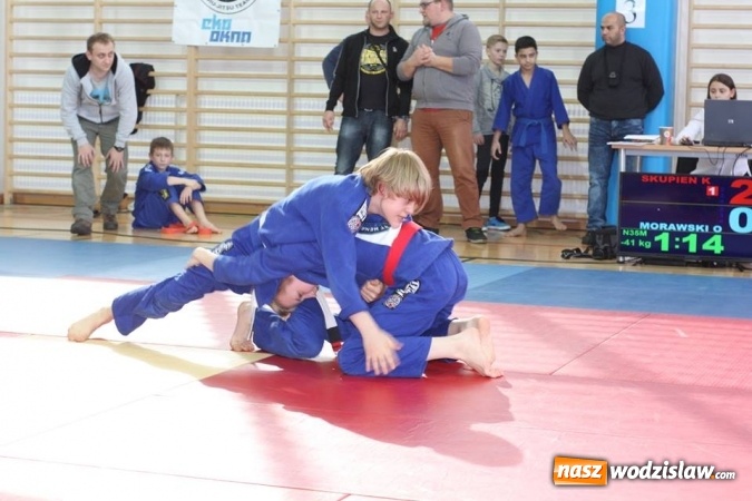 Zdjęcie w galerii na portalu naszwodzislaw.com: 7 medali dla Octagon Team Wodzisław  wiadomości z regionu