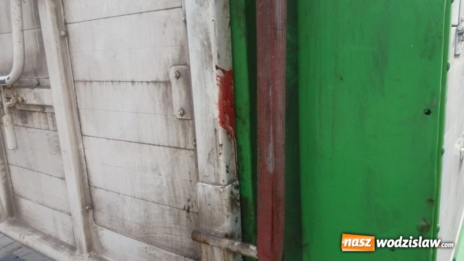 Zdjęcie w galerii na portalu naszwodzislaw.com: Rog&oacute;w: w ciężar&oacute;wce odkryto krowę z poderżniętym gardłem! Pojazd tonął we krwi. Uwaga, drastyczne zdjęcia! wiadomości z regionu