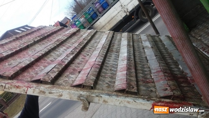 Zdjęcie w galerii na portalu naszwodzislaw.com: Rog&oacute;w: w ciężar&oacute;wce odkryto krowę z poderżniętym gardłem! Pojazd tonął we krwi. Uwaga, drastyczne zdjęcia! wiadomości z regionu