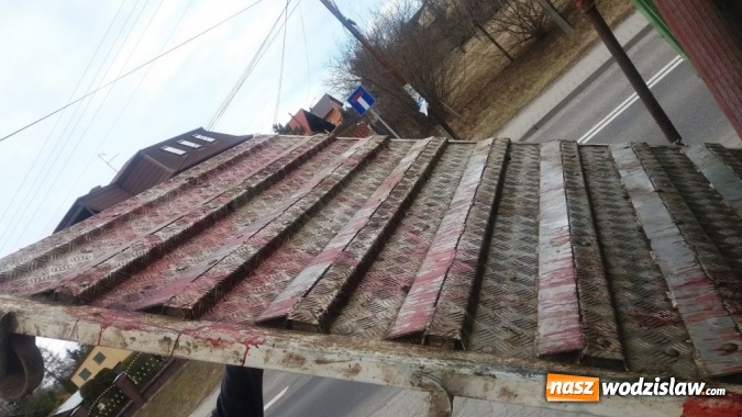 Zdjęcie w galerii na portalu naszwodzislaw.com: Rog&oacute;w: w ciężar&oacute;wce odkryto krowę z poderżniętym gardłem! Pojazd tonął we krwi. Uwaga, drastyczne zdjęcia! wiadomości z regionu