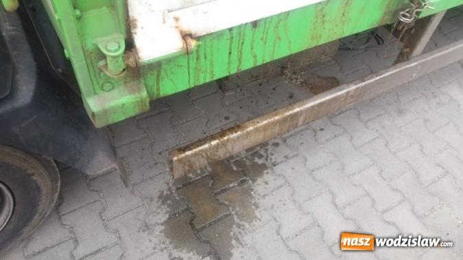 Zdjęcie w galerii na portalu naszwodzislaw.com: Rog&oacute;w: w ciężar&oacute;wce odkryto krowę z poderżniętym gardłem! Pojazd tonął we krwi. Uwaga, drastyczne zdjęcia! wiadomości z regionu