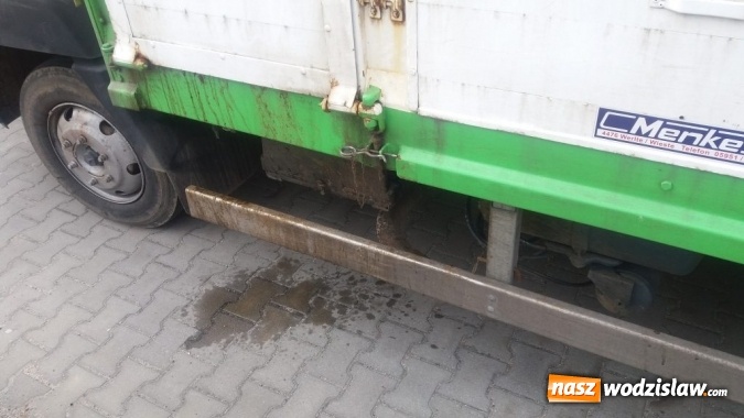 Zdjęcie w galerii na portalu naszwodzislaw.com: Rog&oacute;w: w ciężar&oacute;wce odkryto krowę z poderżniętym gardłem! Pojazd tonął we krwi. Uwaga, drastyczne zdjęcia! wiadomości z regionu