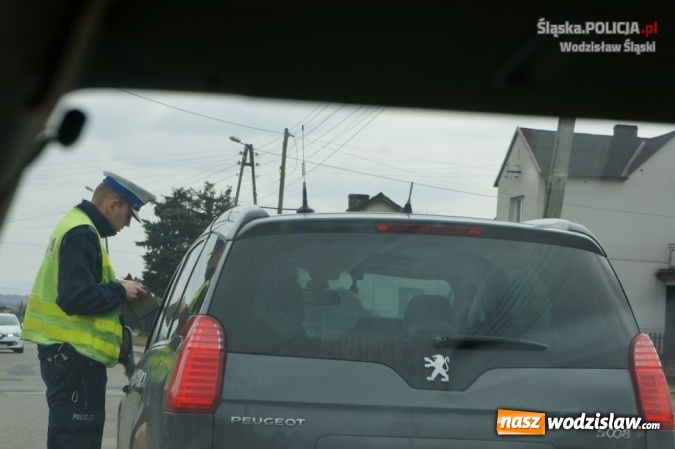 Zdjęcie w galerii na portalu naszwodzislaw.com: Policja: kierowcy jeżdżą bez pasów! wiadomości z regionu